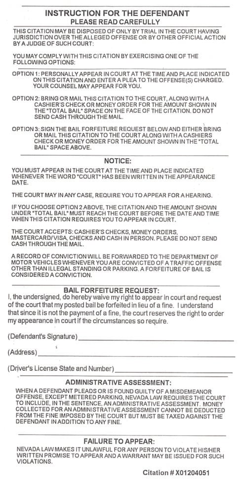 Example: Instruction for the Defendant